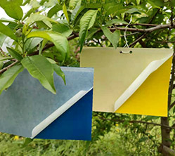 NCB-602 High Performance Hot Melt Adhesive for Adhesive Tape