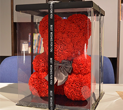 6210 Fine White Transparent Hot Melt Glue Stick